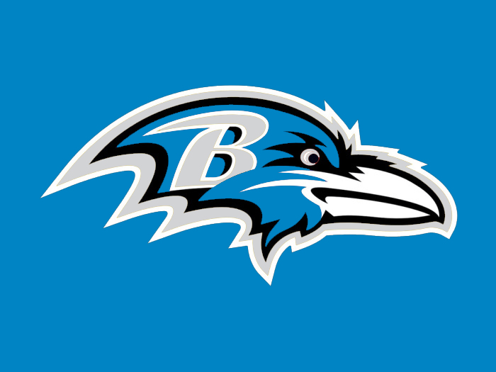 Baltimore to Carolina colors logo iron on transfers